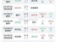 星空体育-沃尔夫斯堡球队引援助力，冲击联赛前列