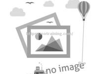 星空体育-阿森纳战平对手，小组出线形势艰难