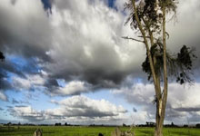 星空体育-热火主场不敌小牛，遭遇败局