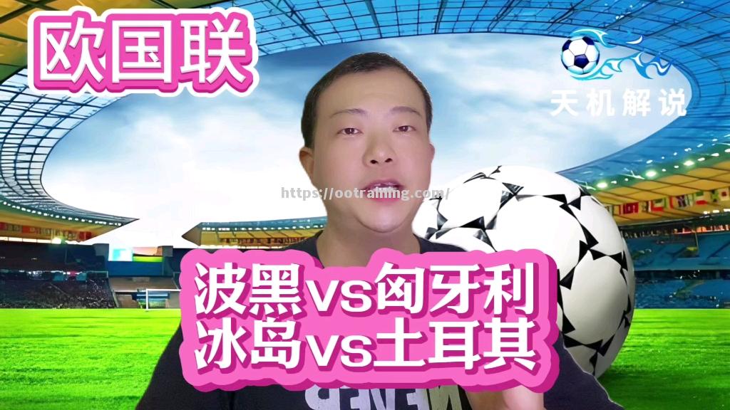 匈牙利队在对阵冰岛队的比赛中晋级下一轮
