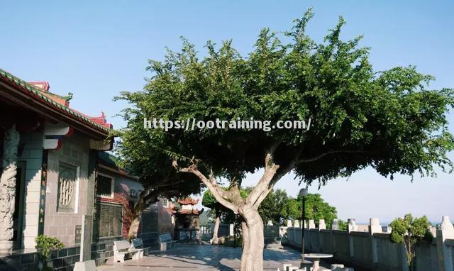 克罗地亚下海窜赴憷扬河