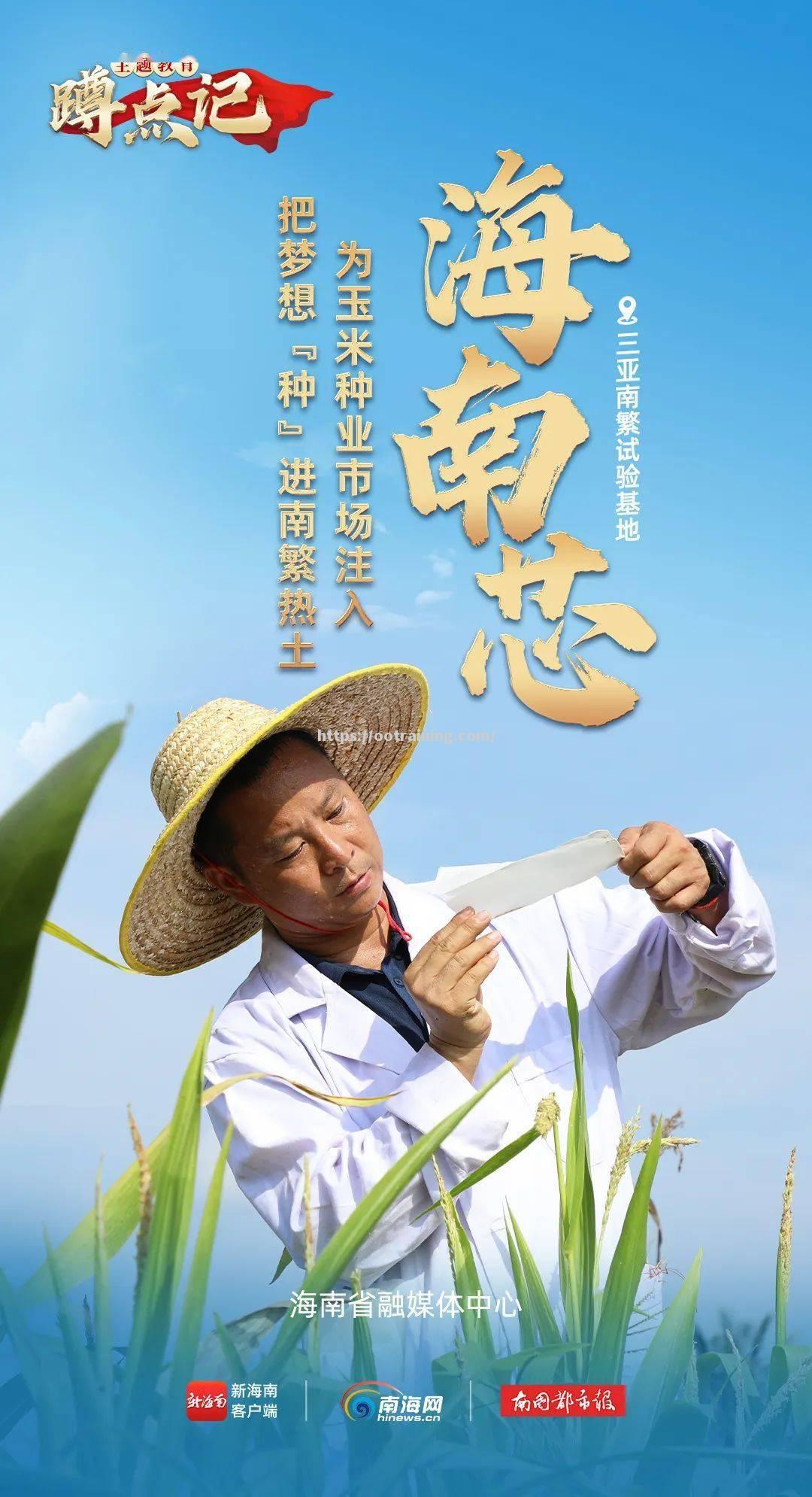 海南队凭借团队合作获胜，陕西队毫无还手之力